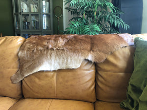 Cow Hide