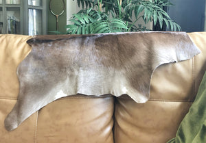 Cow Hide