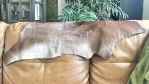 Cow Hide