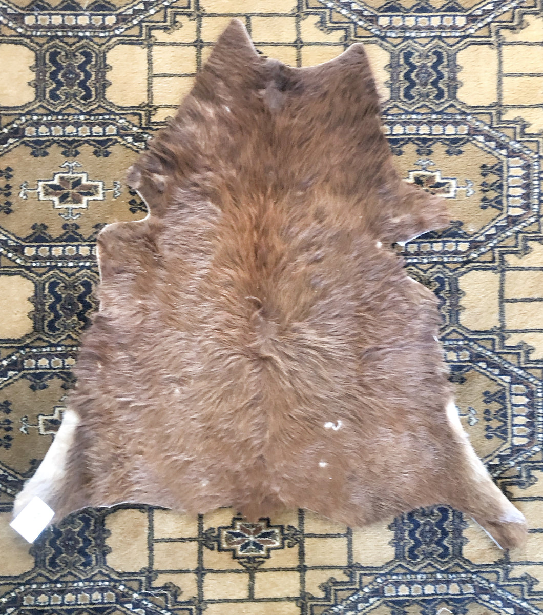 Cow Hide