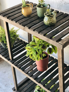 Three Tiered Plant Stand
