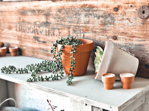 Rustic Wood Potting Bench