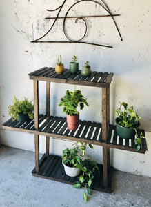 Three Tiered Plant Stand