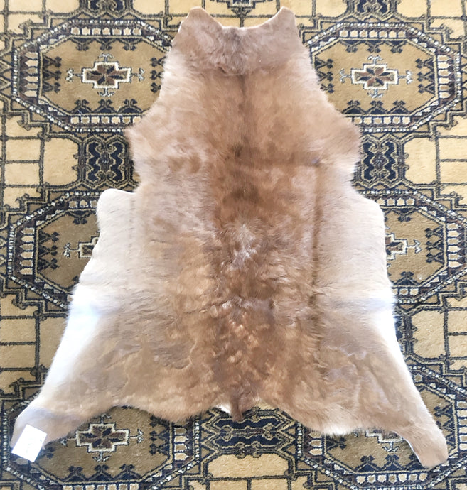 Cow Hide