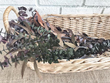 Load image into Gallery viewer, Large oval basket &amp; eucalyptus stems