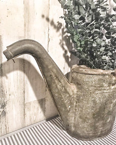 Amazing old galvanized watering can & eucalyptus