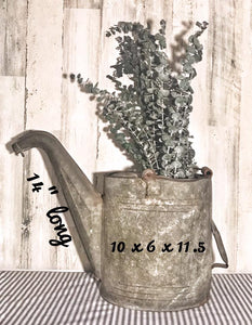 Amazing old galvanized watering can & eucalyptus