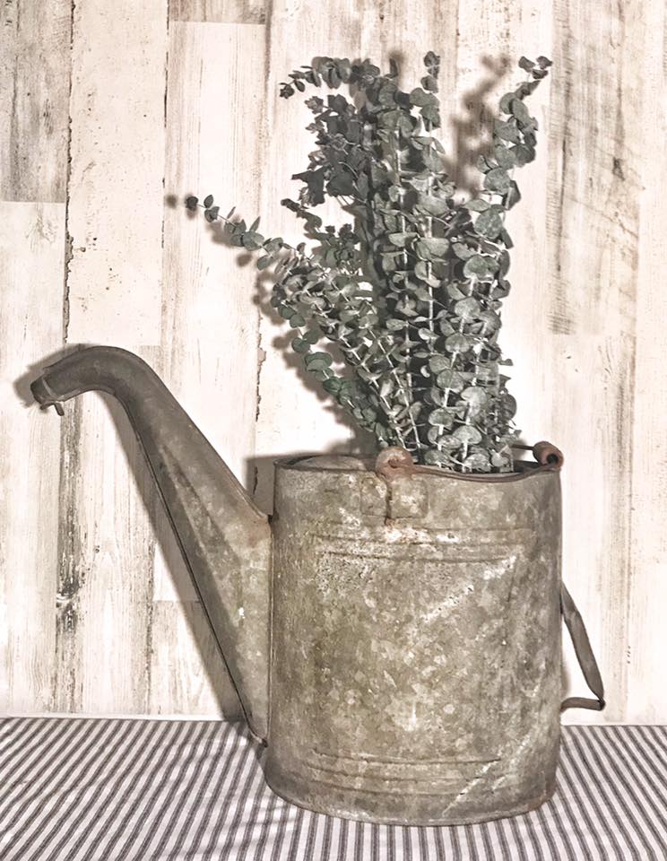 Amazing old galvanized watering can & eucalyptus