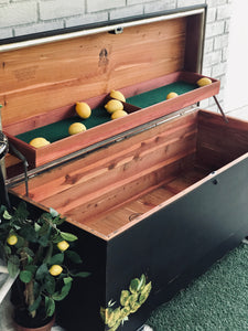 Black & Lemon Lane Cedar Chest