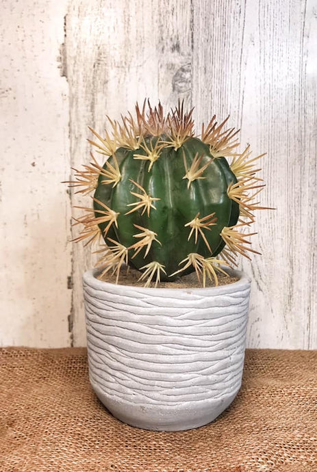 Boho Faux Cactus