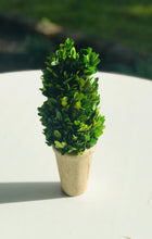 Load image into Gallery viewer, Boxwood Topiary (small)