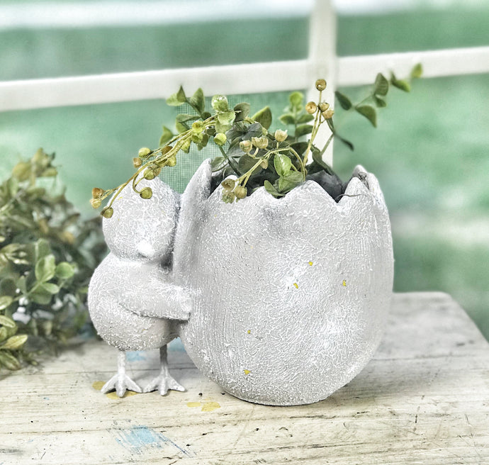 Cement look chicken & egg planter