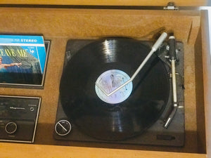 Amazing Vintage Stereo Cabinet