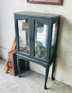 Adorable Petite Curio Cabinet