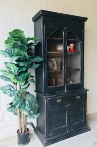 Cool Old Rustic Display Cabinet