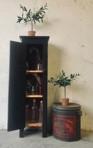 Adorable Little Primitive Look Cabinet