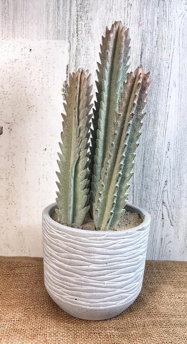 Boho Faux Cactus