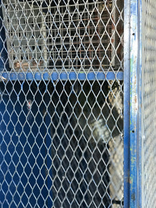 Amazing Vintage Industrial Triple Locker