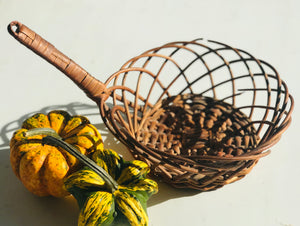 Adorable Skillet Hanging Basket