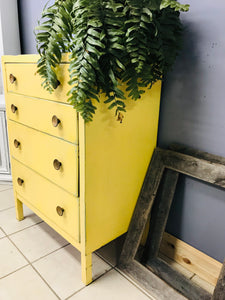 Vintage Industrial Metal Chest of Drawers