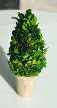 Load image into Gallery viewer, Boxwood Topiary (small)