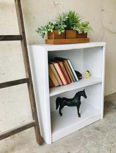 Cute Little Farmhouse Bookshelf