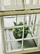 Load image into Gallery viewer, Salvaged Old Window Greenhouse w/Door