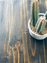 Load image into Gallery viewer, Pretty Multi-Purpose Farmhouse Cabinet