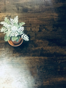 Fresh Farmhouse Table w/Bench & Chairs