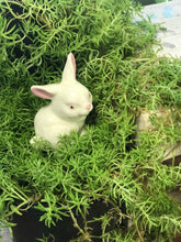 Load image into Gallery viewer, Vintage ceramic bunny