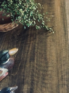 Gorgeous Green Chest of Drawers