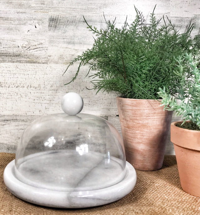 Marble & Plastic cloche