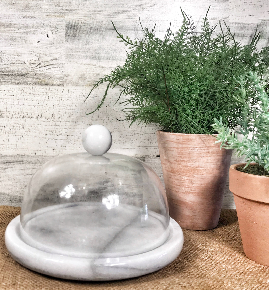 Marble & Plastic cloche