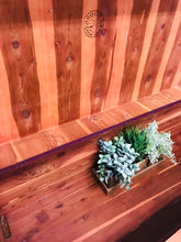 Load image into Gallery viewer, Gorgeous Large Vintage Cedar Hope Chest