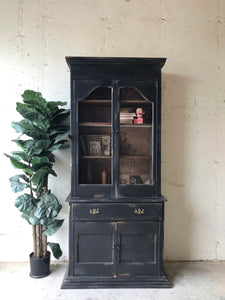 Cool Old Rustic Display Cabinet