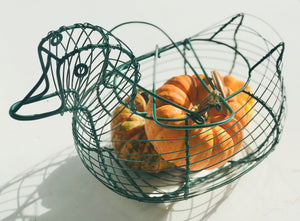 Adorable Green Wire Duck Egg Basket