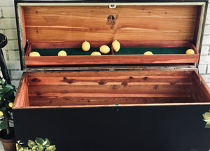 Black & Lemon Lane Cedar Chest